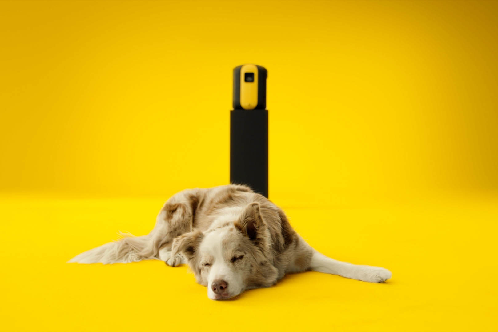 Le nouveau SpiroVent Superior S250